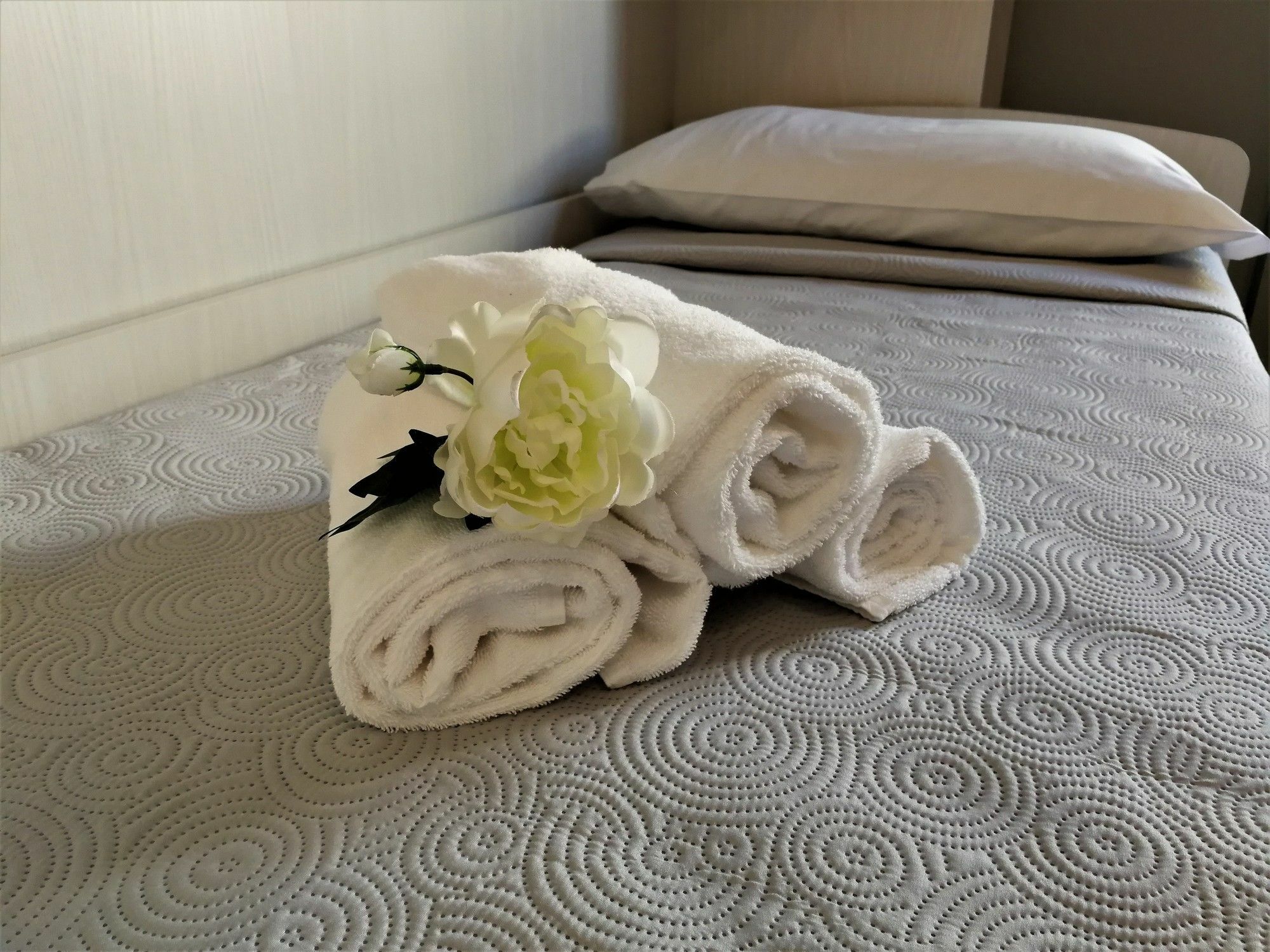 Bgy Central Apartments 贝尔加莫 外观 照片